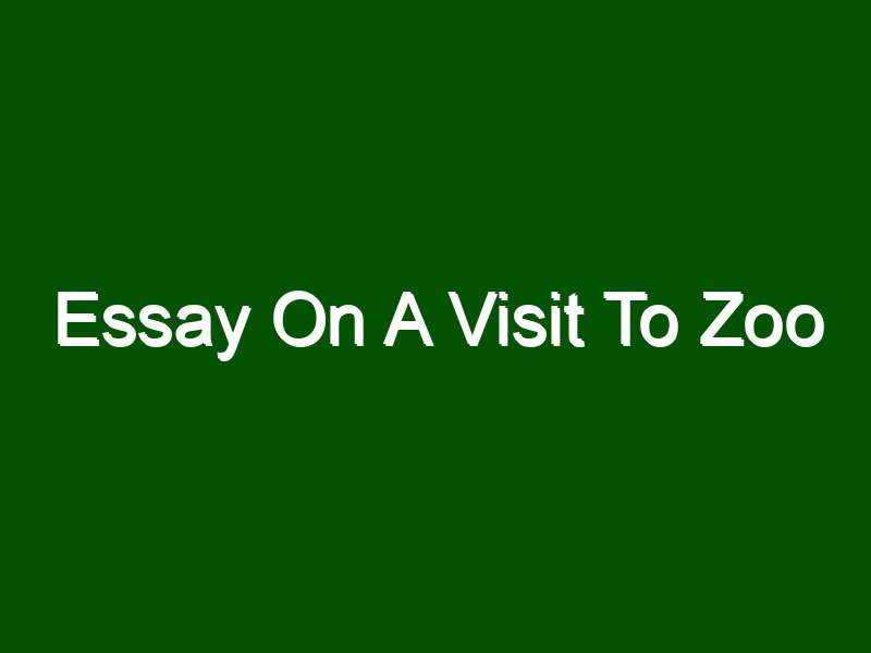 a visit to the zoo essay