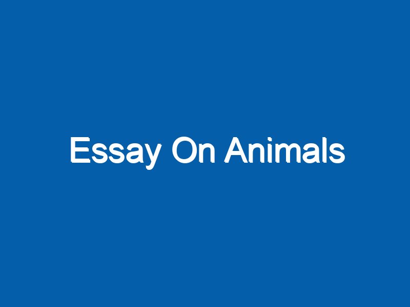 small essay on animals in english