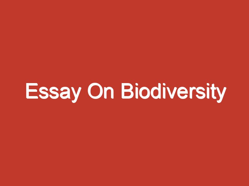 types of biodiversity essay