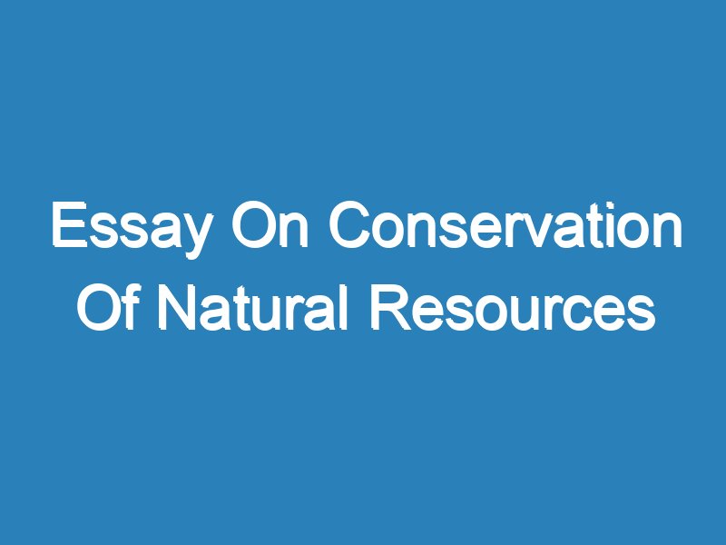 long essay on natural resources