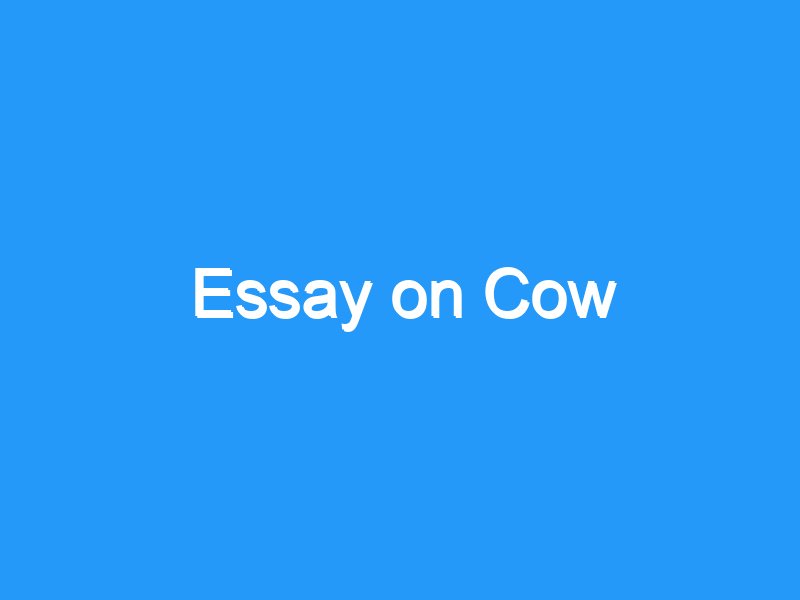 essay my cow