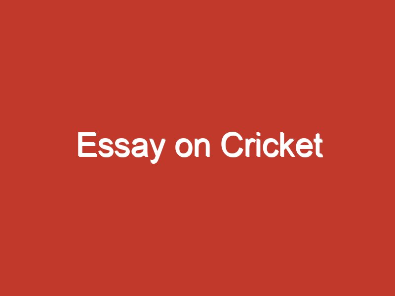 a short essay on cricket
