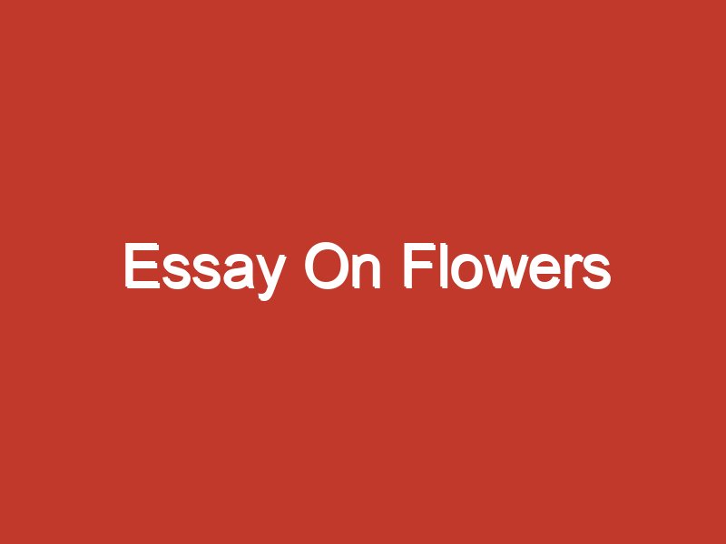 essay on flowers names