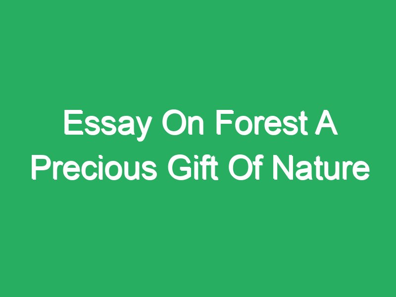 essay on forest a precious gift of nature