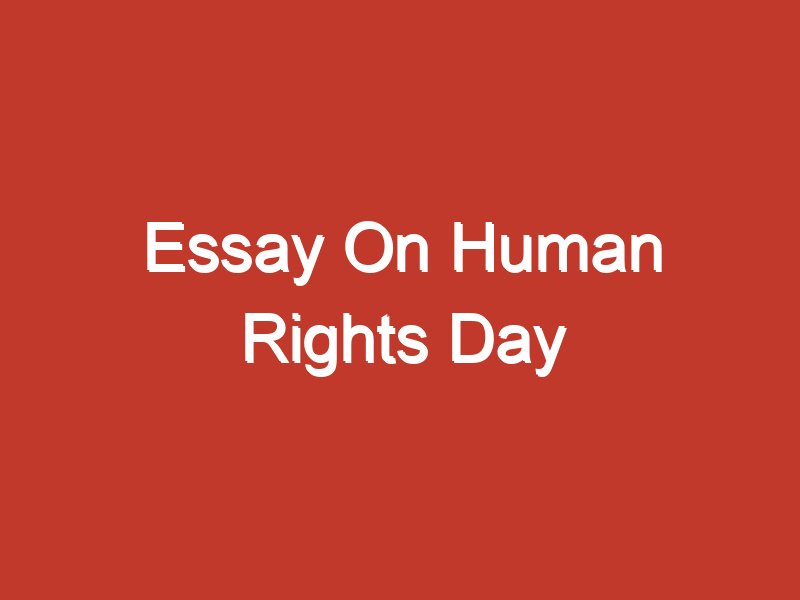 human rights day essay introduction