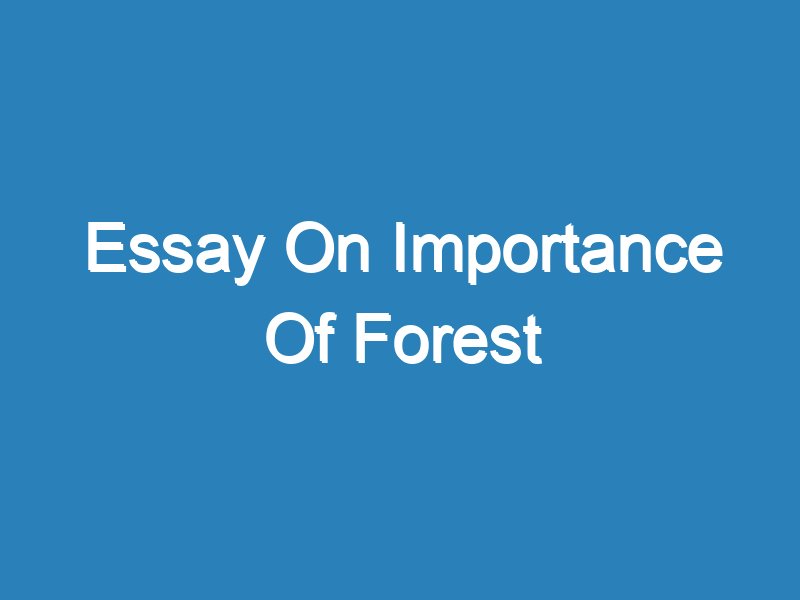 forest essay