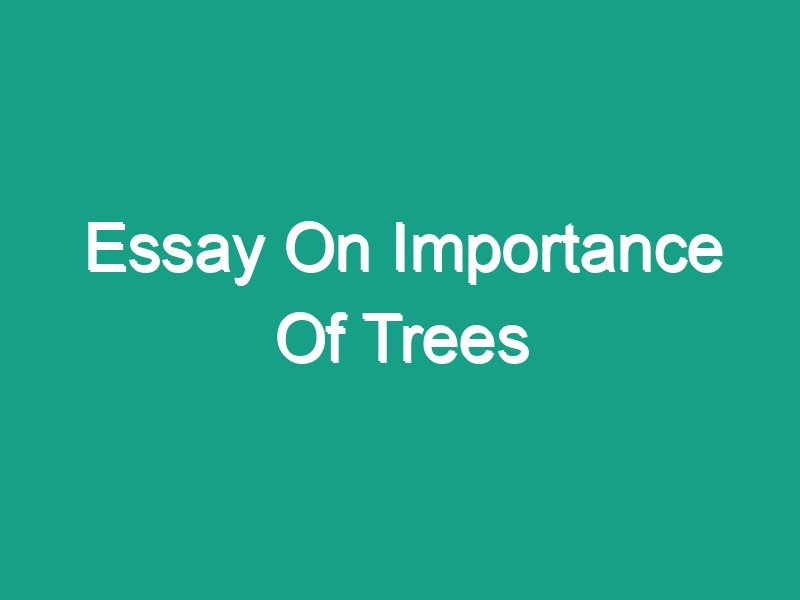 essay on importance of trees for class 4