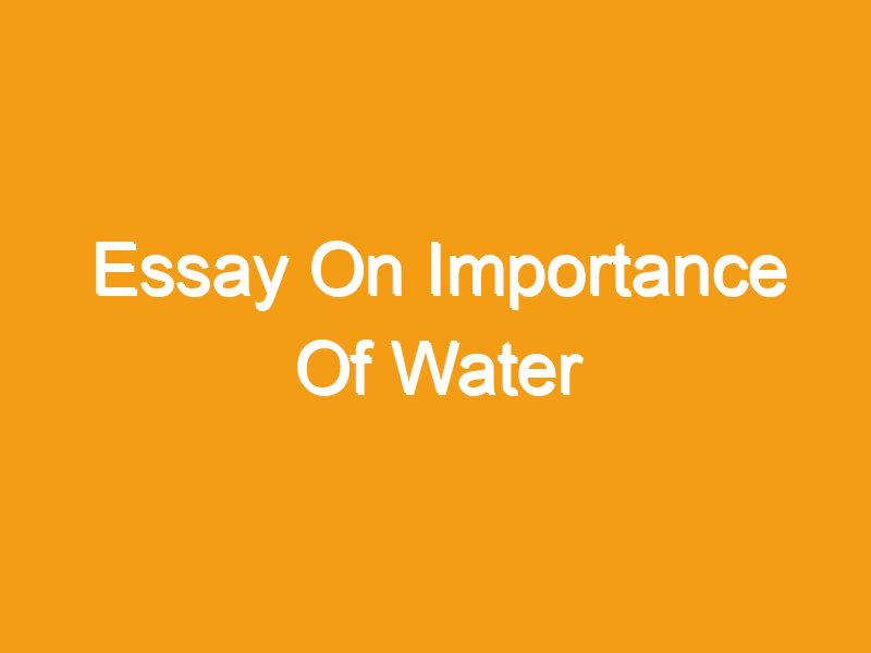essay about why water is important