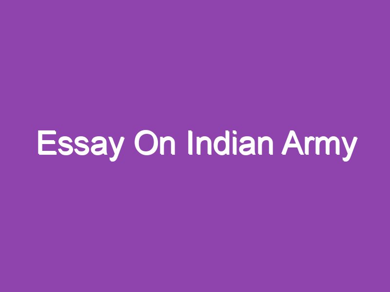 essay about indian soldiers