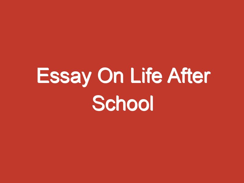 essay about life after school