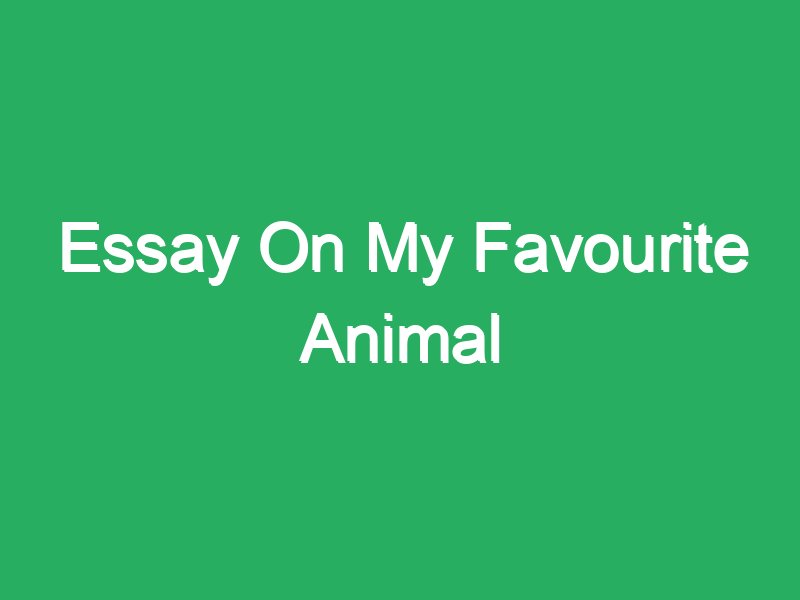 my favourite animal essay