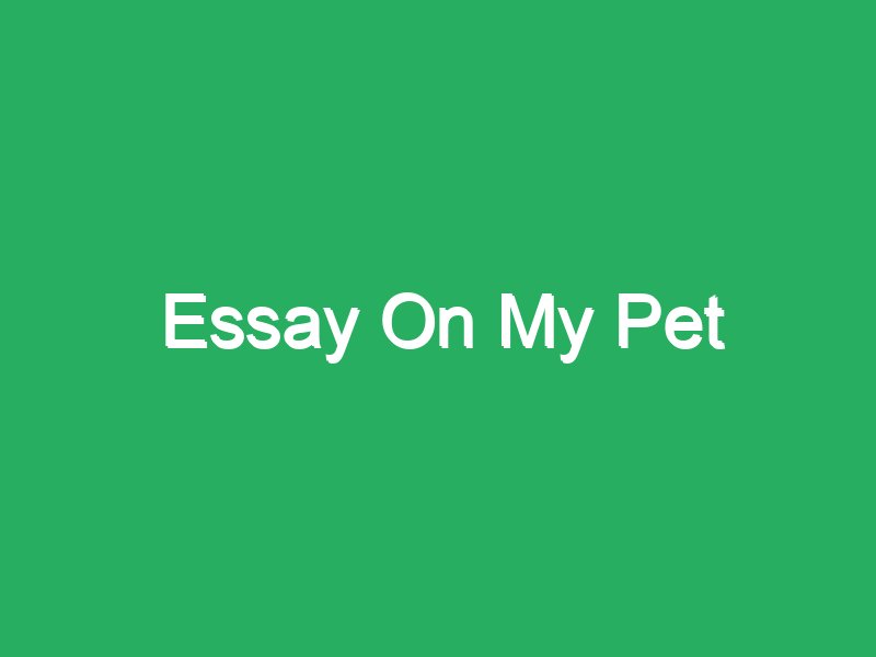 brief essay on pet dog