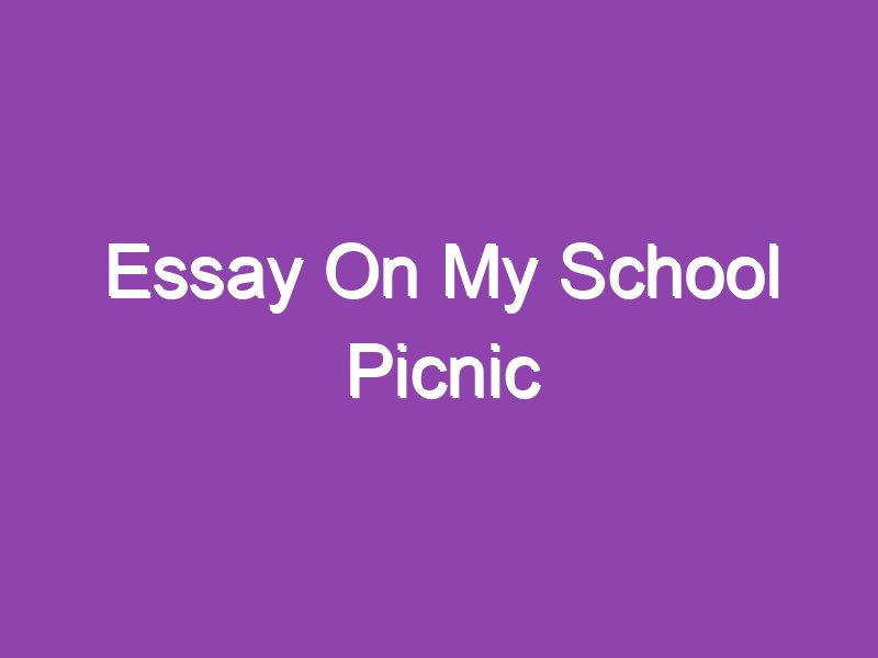 essay on our school picnic