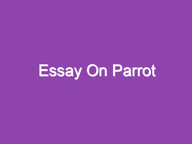 short english essay on parrot
