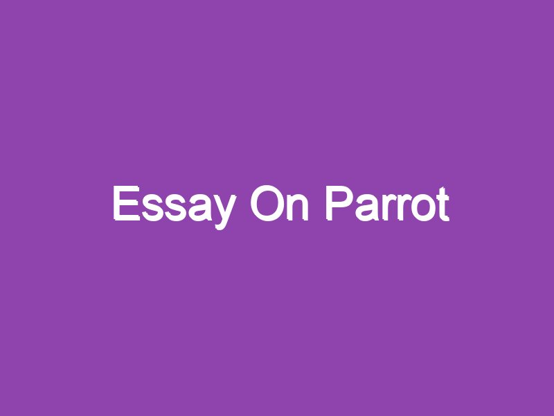 easy parrot essay in english