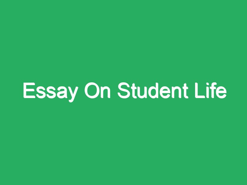 an essay about student life