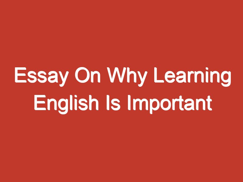 essay on why english is important
