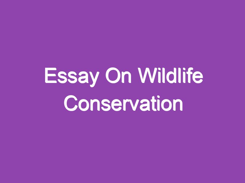 short essay about wildlife protection